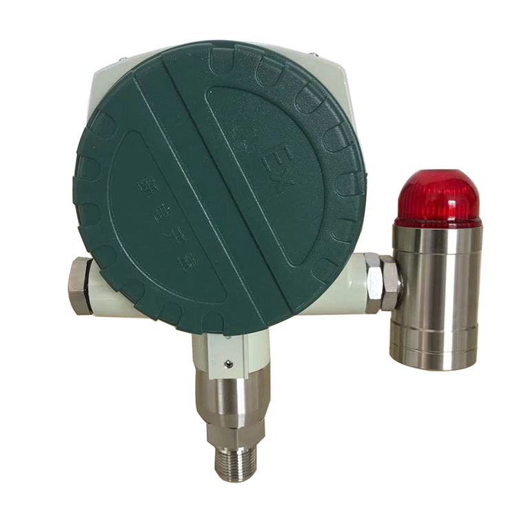 防爆式压力变送器02.JPG
