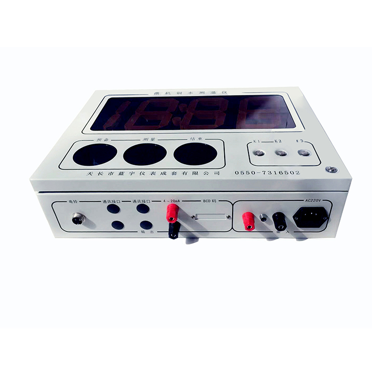 W600T 钢水测温仪表