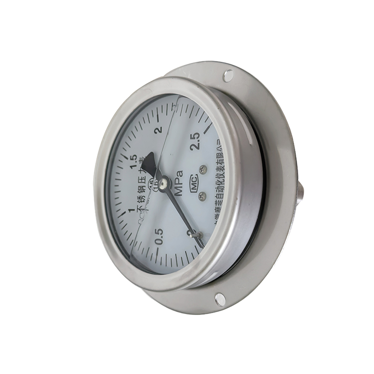 Y-60B-FZ膜片压力表
