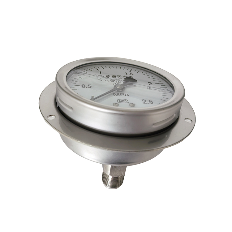 Y-63B-F卫生型隔膜压力表