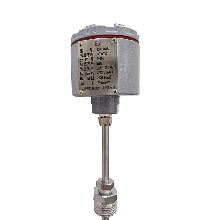 一体化温度变送器LDBW-212/2