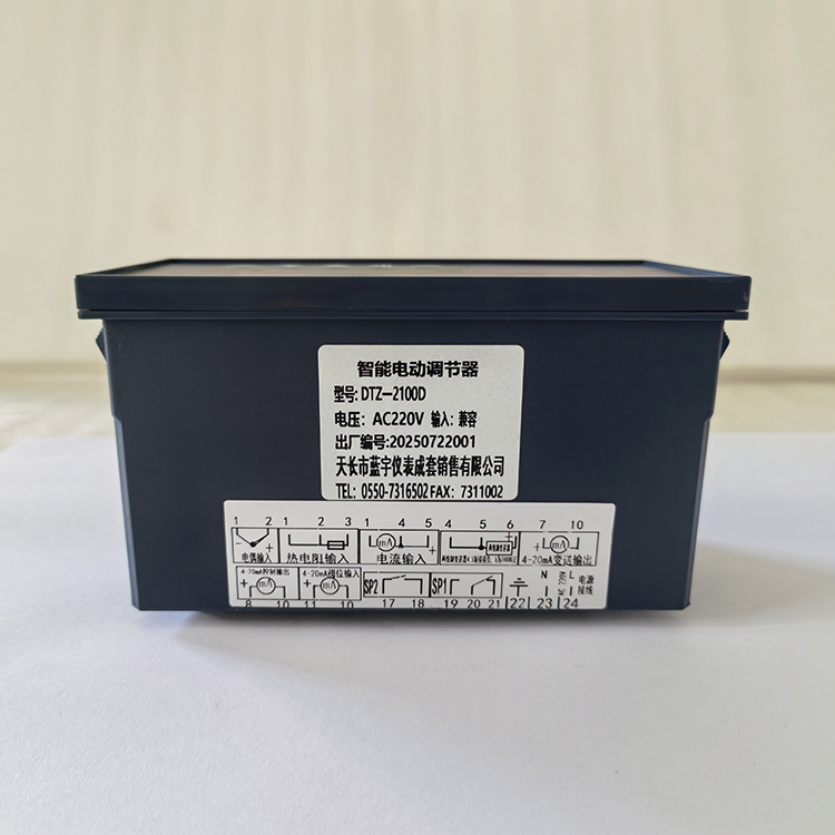 数显智能调节仪LDCB-3910