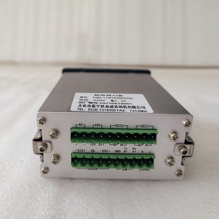 智能力值显示控制仪XSB5-R4S1V0