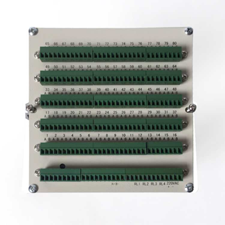 温度巡检仪 LRLC-3148S1 04.jpg