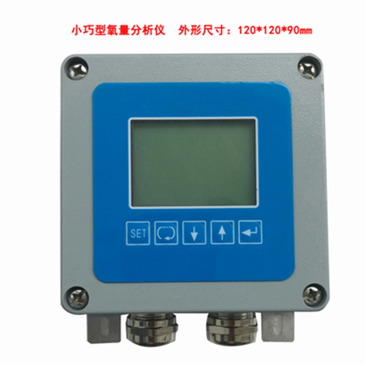 ZO-301烟道氧分析仪